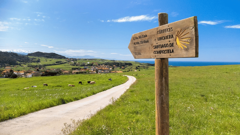 camino 02